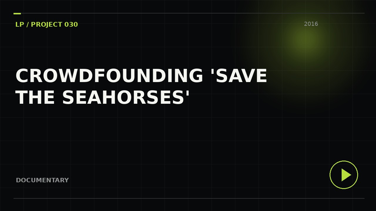 Crowdfunding ‘SAVE THE SEAHORSES’