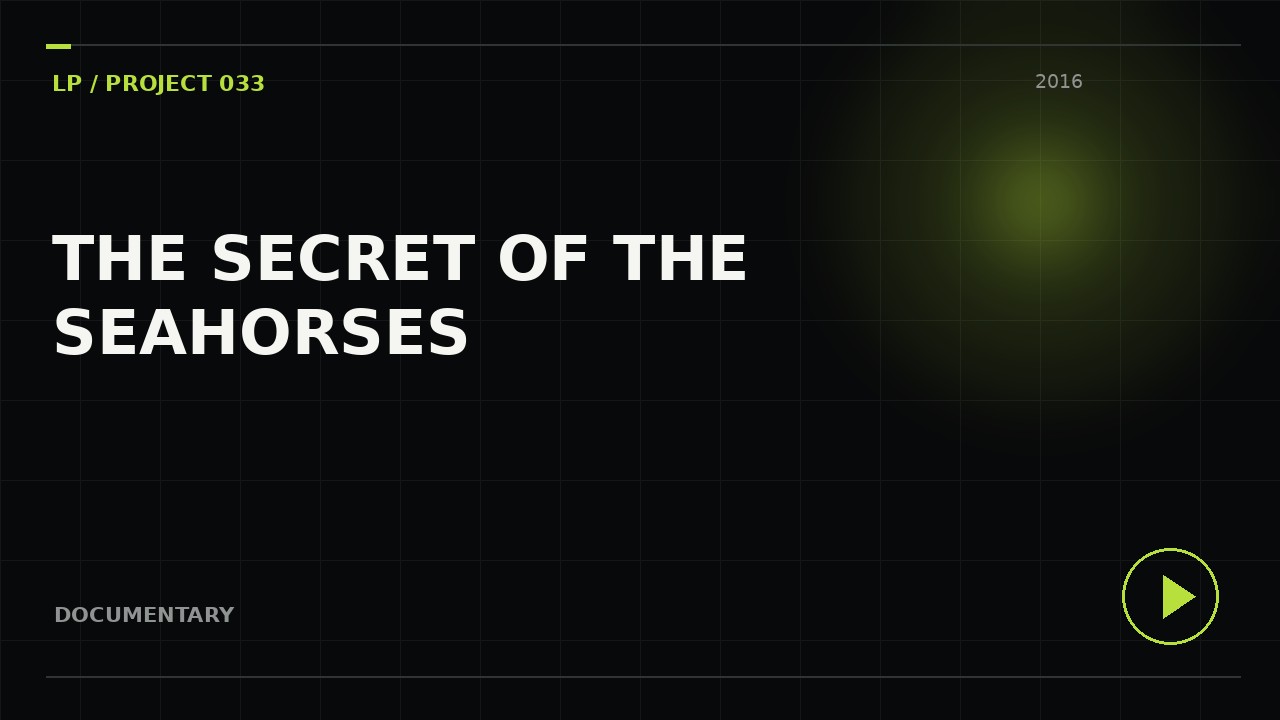 THE SECRET OF THE SEAHORSES